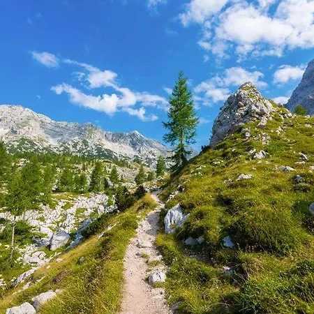Garni 6 Hébergement de vacances *