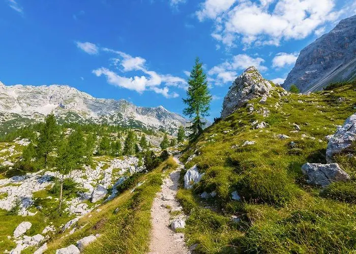 Garni 6 Ferienhaus *